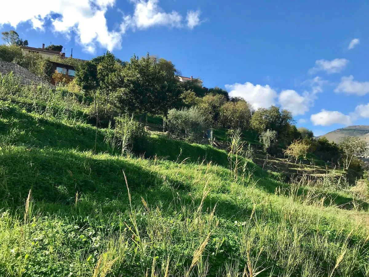 Meditation Center Osho Sammasati Hotel Monreale Guest house
